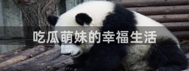 51cg今日吃瓜热门:吃瓜萌妹的幸福生活