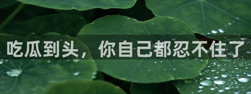 吃瓜什么意思:吃瓜到头,你自己都忍不住了